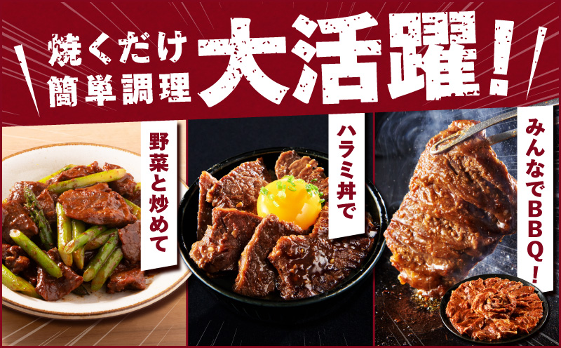 ガツめし牛ハラミ 1.2kg 追いダレ漬け【300g×4 ハラミはらみ 牛はらみ 牛肉 訳アリ 不揃い 小分け 大阪 泉佐野 大阪府 泉佐野市】