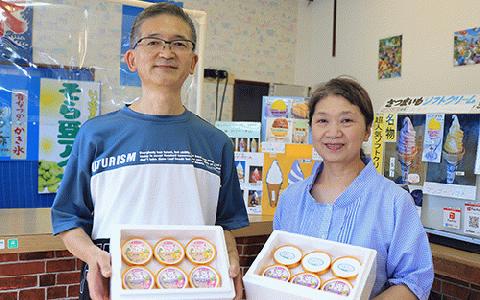 こだわりの逸品 特別な紫いもアイスとスイーツそら豆アイスの8個セット(イッシーホンポ/010-178)x2種セット(イッシーホンポ/010-178)