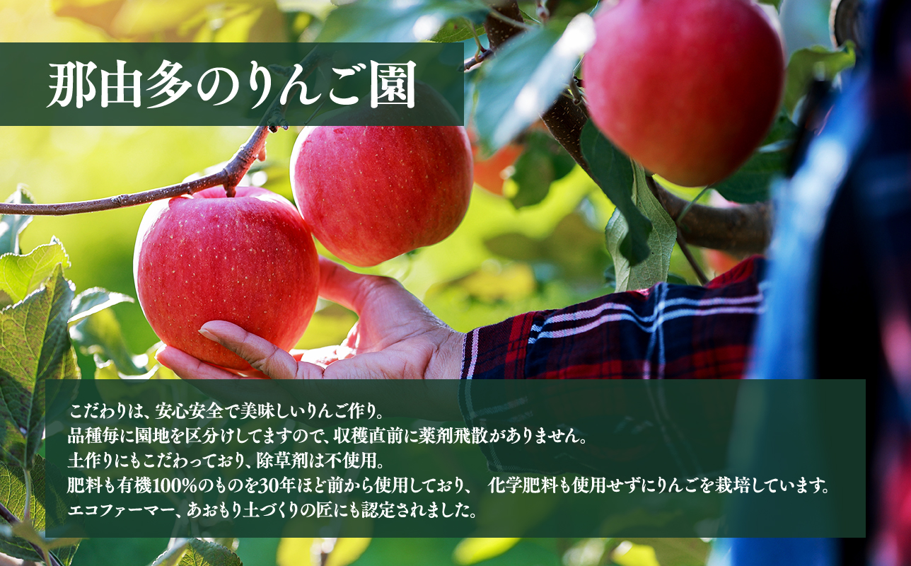 年内発送 【訳あり】家庭用サンふじ約2kg（糖度証明書付き）【青森県 平川市 那由多のりんご園】