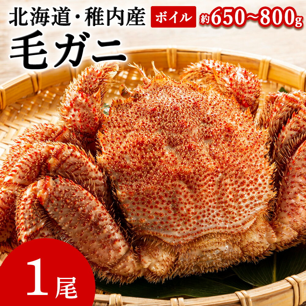 【ふるさと納税】【2025製造】ボイル毛ガニ1尾650g〜800g カニ かに 毛ガニ 毛がに 海鮮 魚介 北海道 稚内 稚内市 ふるさと 人気 【配送不可地域：離島・沖縄県】