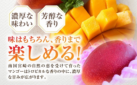 【期間・数量限定】宮崎特産品　宮崎県産完熟マンゴー　3L×2個_M275-002