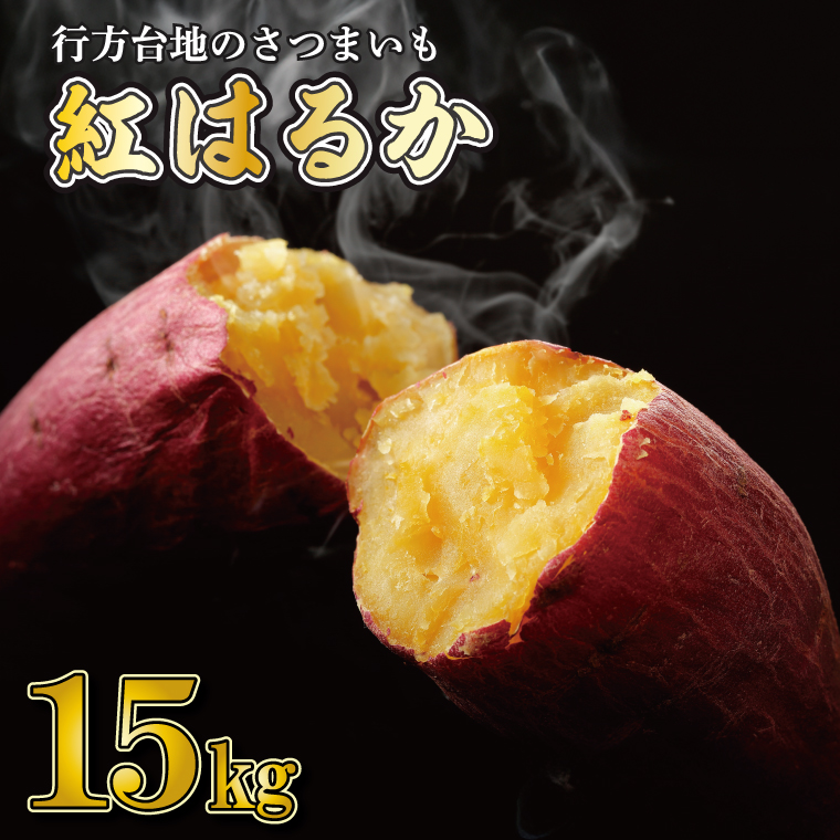 【2025年12月より順次発送】★訳あり★ 無選別 行方台地のさつまいも 紅はるか 約15kg｜訳あり ワケアリ 訳アリ さつまいも サツマイモ さつま芋 紅はるか 無選別 べにはるか 行方市 ふるさと納税(CU-318)