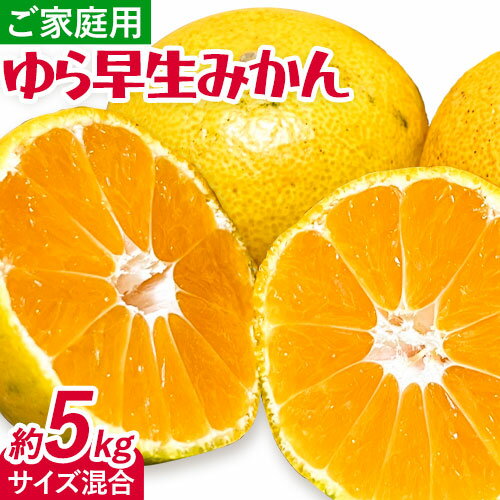 【ふるさと納税】＜2025年出荷先行予約＞みかん ゆら早生みかん ご家庭用 5kg サイズ混合 GOGO農園《2025年10月上旬-11月末頃出荷》 和歌山県 日高川町 ゆら早生みかん みかん 早生 柑橘 蜜柑 フルーツ 送料無料