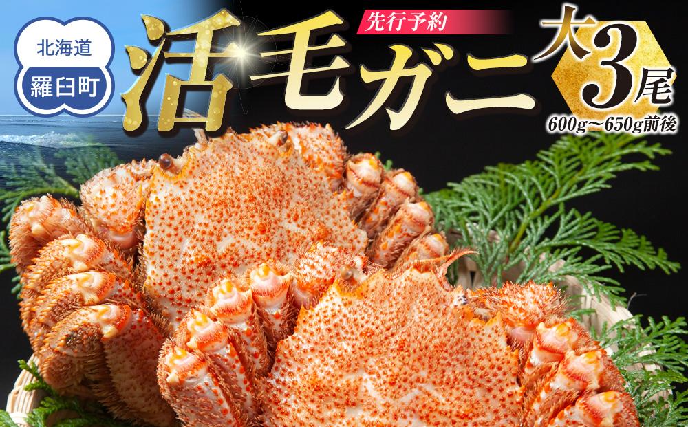 【先行予約/2026年4月発送開始】活毛ガニ　大３尾（600g～650g前後）