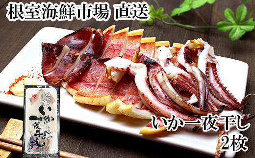 G-11079【12/10まで年内配送】 【北海道産】いか一夜干し2枚