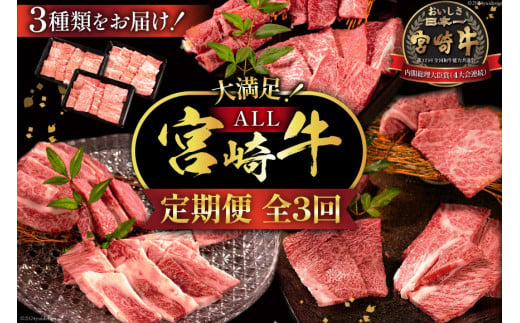 牛肉 定期便 3回 宮崎牛 バラエティAコース 計 1.3kg [ミヤチク 宮崎県 日向市 452061039] セット 冷凍 モモ 焼肉 牛肩ロース ロース バラ