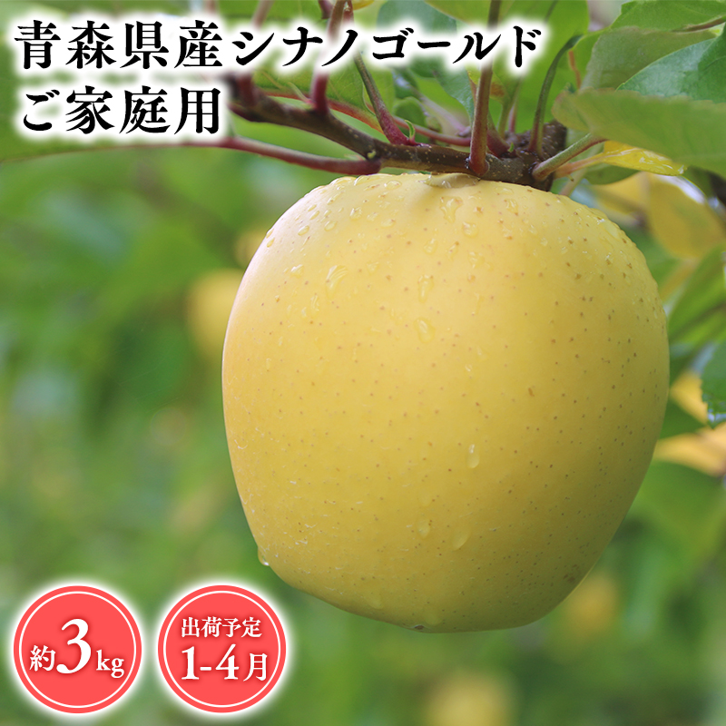 2025年産 １月～４月発送　【訳あり】家庭用シナノゴールド3ｋｇ　【そと川りんご園・１月・２月・３月・４月・青森県産・平川市・りんご・シナノゴールド・3ｋｇ・訳あり・家庭用】