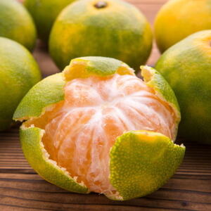 【初秋の美味】【10月～発送】特選ゆら早生有田みかん　1kg　【ard234】【ard234】