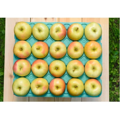 【2025年11月より順次発送】平均糖度13度以上! トキ 約5kg 訳あり【配送不可地域：沖縄県】【1608000】