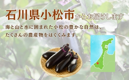 なす 4kg(40個以上) なす ナス 茄子 野菜 | 石川県 小松市 JAあぐり