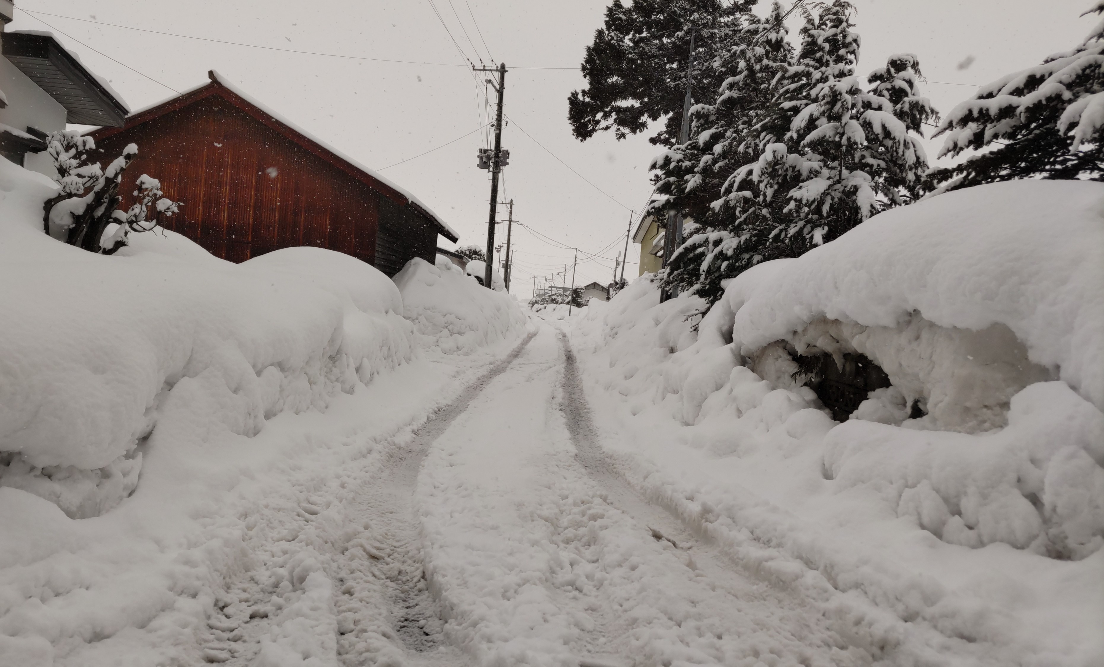 藤崎町令和7年1月青森地方豪雪災害支援【返礼品なし、マイル対象外】