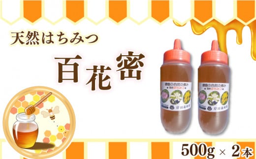 はちみつ 百花蜜 500g ボトル 2本セット 天然はちみつ 蜂蜜 健康食品 美容 食品 栄養豊富 ギフト 贈答 人気 はちみつ お取り寄せ グルメ ヨーグルト パン スイーツ 徳島県 吉野川市