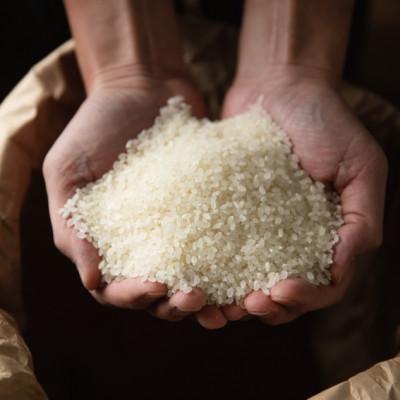 ふるさと納税 南魚沼市 6年連続金賞 南魚沼産コシヒカリ10kg(5kg×2袋)栽培期間中農薬化学肥料不使用 |  | 03