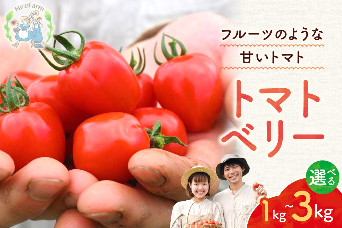 
            【容量が選べる！】NicoFarm トマトベリー（ミニトマト）
          