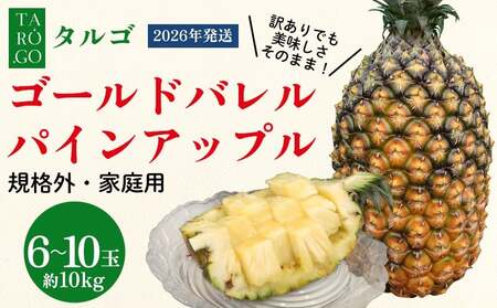 東物産「TARUGO」約10kg（6～10玉）／家庭用