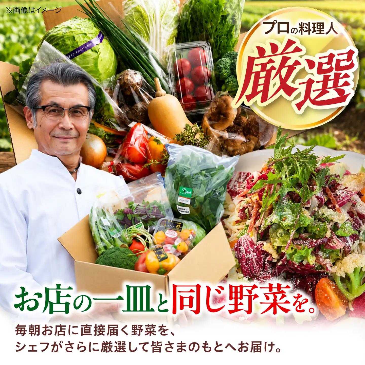 野菜セット（12-16種）野菜 詰め合わせ [AGBX003]