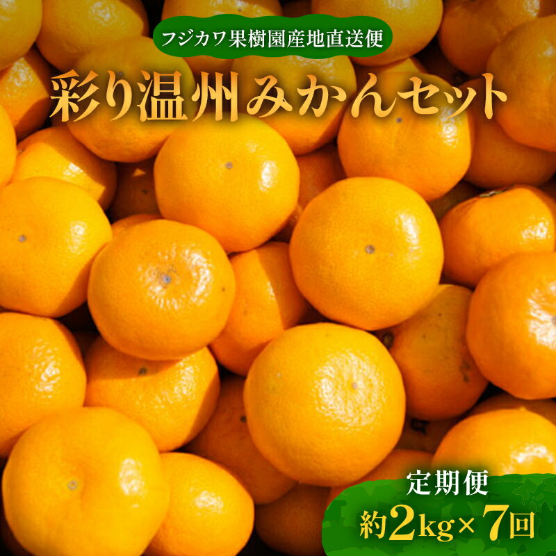 【ふるさと納税】【7回頒布会】〜フジカワ果樹園産地直送便〜香川県産・彩り温州みかんセット 果物類 フルーツ 詰合せ お歳暮 御歳暮 お年賀 果物 FAH-0045