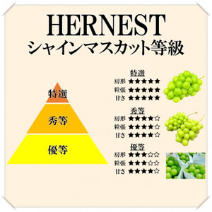 【2024年先行受付】山梨県山梨市産　旬の採れたてシャインマスカット　秀等品　約1.2kg　2～3房【配送不可地域：離島】【1134845】