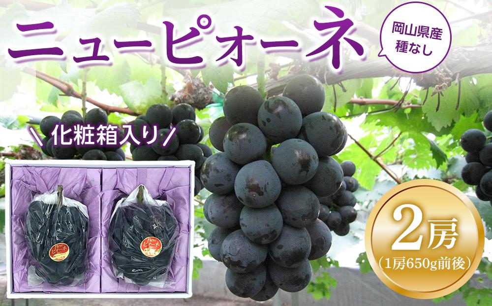 ぶどう 2026年  ニュー ピオーネ 2房（1房約650g前後） 産地直送 ブドウ 葡萄  岡山県産 国産 フルーツ 果物 ギフト たけまさぶどう園