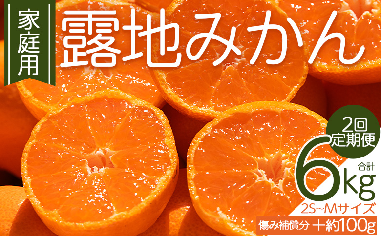 みかん 【２回定期便】露地みかん(2S～Mサイズ) 3kg 家庭用 （傷み補償分 ＋約100g） - 果物 くだもの フルーツ 果実 柑橘 かんきつ 蜜柑 みかん ミカン 期間限定 Wom-0007