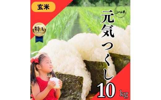 令和7年度産 元気つくし 10kg ブランド米 米 玄米 国産 食味 白飯 ご飯 もちもち 特A評価 ひのひかり こめ お米 okome kome おむすび おにぎり弁当 美味しい 朝食 取り寄せ 魚 肉 の おかず にあう 福岡県 柳川市 宝物産