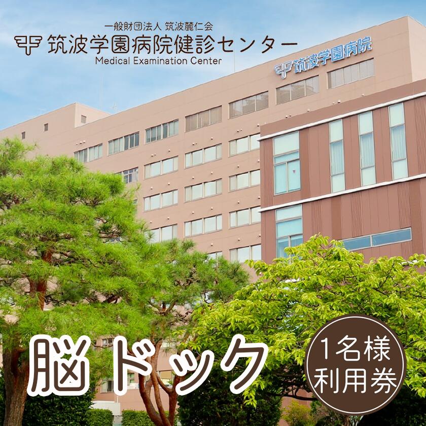 【ふるさと納税】筑波学園病院健診センターの脳ドック利用券 1名様分 | 人間ドック 脳ドック 検査 健康診断 健康 ヘルスケア 病院 医療 MRI MRA レントゲン 利用券 茨城県 つくば市