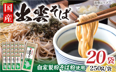蕎麦 国産出雲そば 250g×20袋 [AICE004] 蕎麦