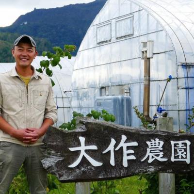 ふるさと納税 壮瞥町 <2025年12月上旬よりお届け>寒締めちぢみほうれん草とセミドライトマトオイル漬けSBTR007 |  | 03