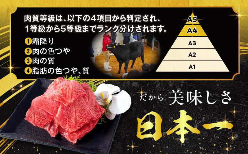 宮崎牛ウデ焼肉400g 宮崎県産黒毛和牛こま切れ100g_M132-022