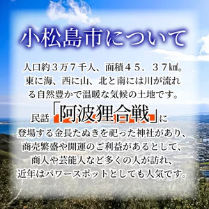 徳島県小松島市 【 返礼品なしの寄附】150,000円 返礼品なし