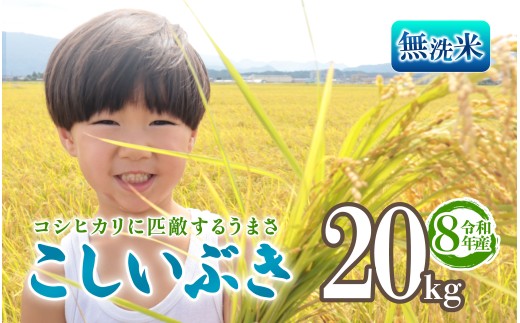 令和8年産 無洗米 こしいぶき 20kg 5kg 4袋 新潟 新米 先行予約 越後の新しい息吹 コシヒカリ の遺伝子を引き継ぐ 米 おこめ お米 ご飯 ごはん オニギリ お弁当 kome 送料無料 数量限定 農家直送 産地直送 国産 川瀬農園 四代目 悠助 新潟 新発田 kwsMKI007_202609