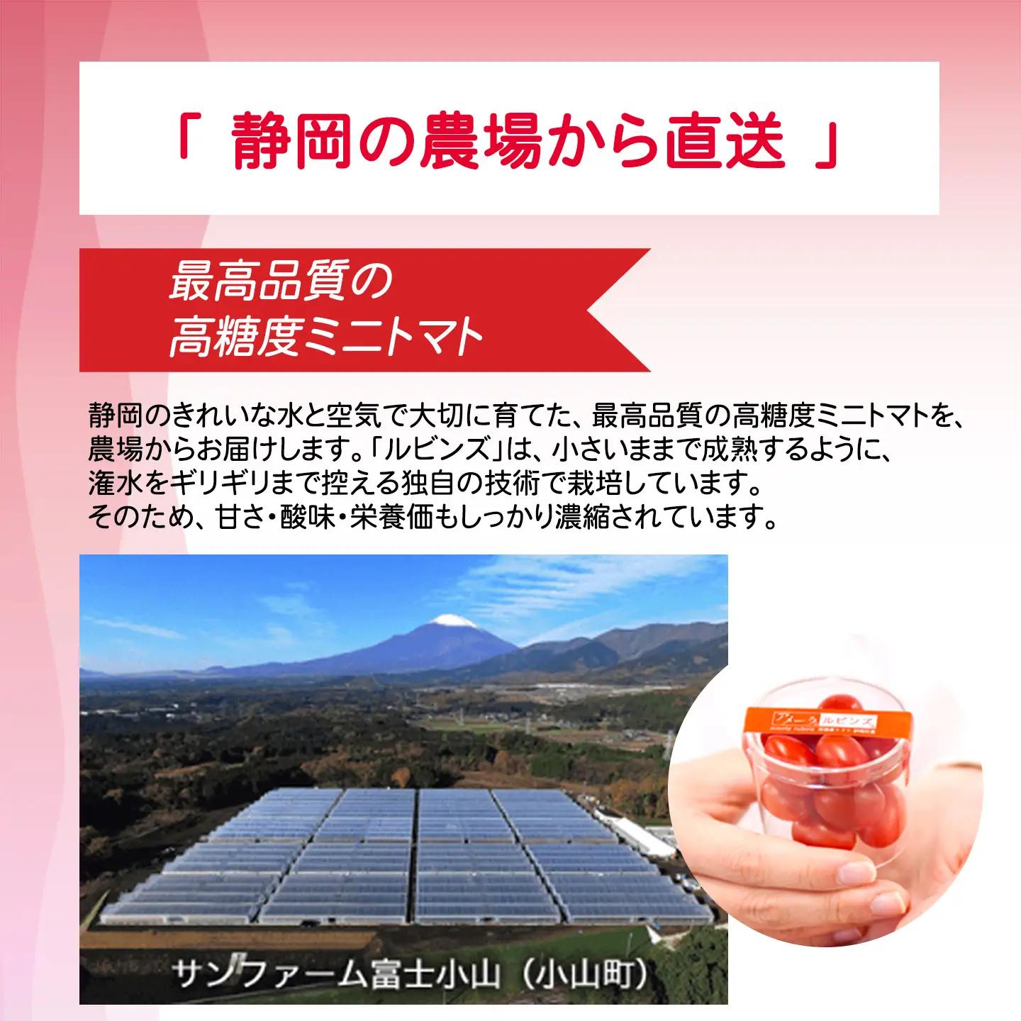 ミニトマト アメーラルビンズ 約60g×10P ミニトマト
