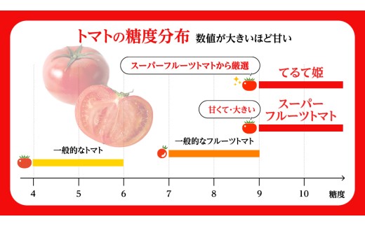 《 2027年 収穫分 》2～6月配送 スーパーフルーツトマト 中箱 約1.2kg × 1箱 (12～18玉/1箱) 糖度9度以上 先行予約 茨城県 桜川市 KEK 国産 トマト フルーツトマト ブランドトマト 野菜 ギフト 贈答 青空レストラン アド街ック天国 グッドモーニング 黄金のワンスプーン 昼めし旅 [BC002sa]