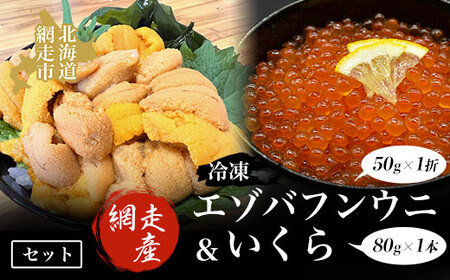 【先行予約】冷凍エゾバフンウニ50g×1折＋いくら80g×1本セット（網走市産）（2025年5月15日以降発送） ABAO2001