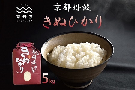 【京丹波の米】《先行予約》 京丹波きぬひかり 5kg 令和7年産 【 京丹波産 キヌヒカリ  お米  米  白米  京都 】 ※北海道・沖縄・その他離島は配送不可 [010MB002]