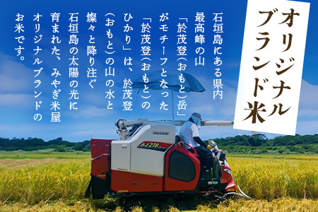 石垣島産 於茂登(おもと)のひかり 5kg みやぎ米屋【 日本一早い新米の産地 お米 産地直送 旬 しきゆたか 沖縄県 石垣市 送料無料 】MK-1