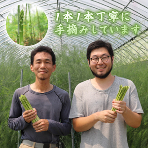 【先行受付】アスパラガス 京都 2026年産 1kg L～2Lサイズ 京都府 アスパラ