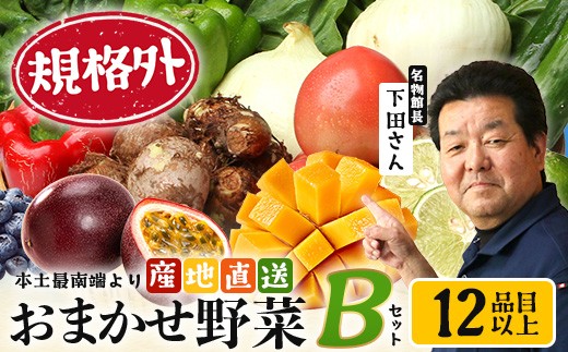 
                  【規格外】本土最南端から 旬のおまかせ野菜セットB 12品目以上  NI-6｜  旬 野菜 やさい  果物 くだもの  産地直送  農産物 冷蔵 鹿児島県 南大隅町産  詰合せ  おまかせ 家庭用 訳あり なんたん市場
                