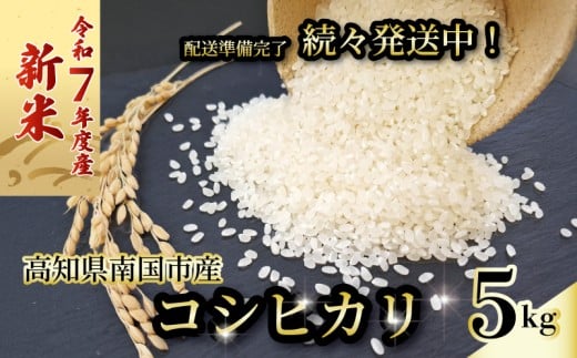 【新米】 【数量限定】 令和7年度 コシヒカリ 5㎏ 発送スタート  超早場米 米 コメ お米 精米 早場米 新米 ご飯 おにぎり こめ 白米 高知県 南国市