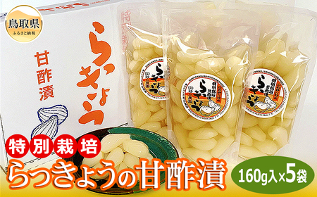 特別栽培らっきょうの甘酢漬_T2600030