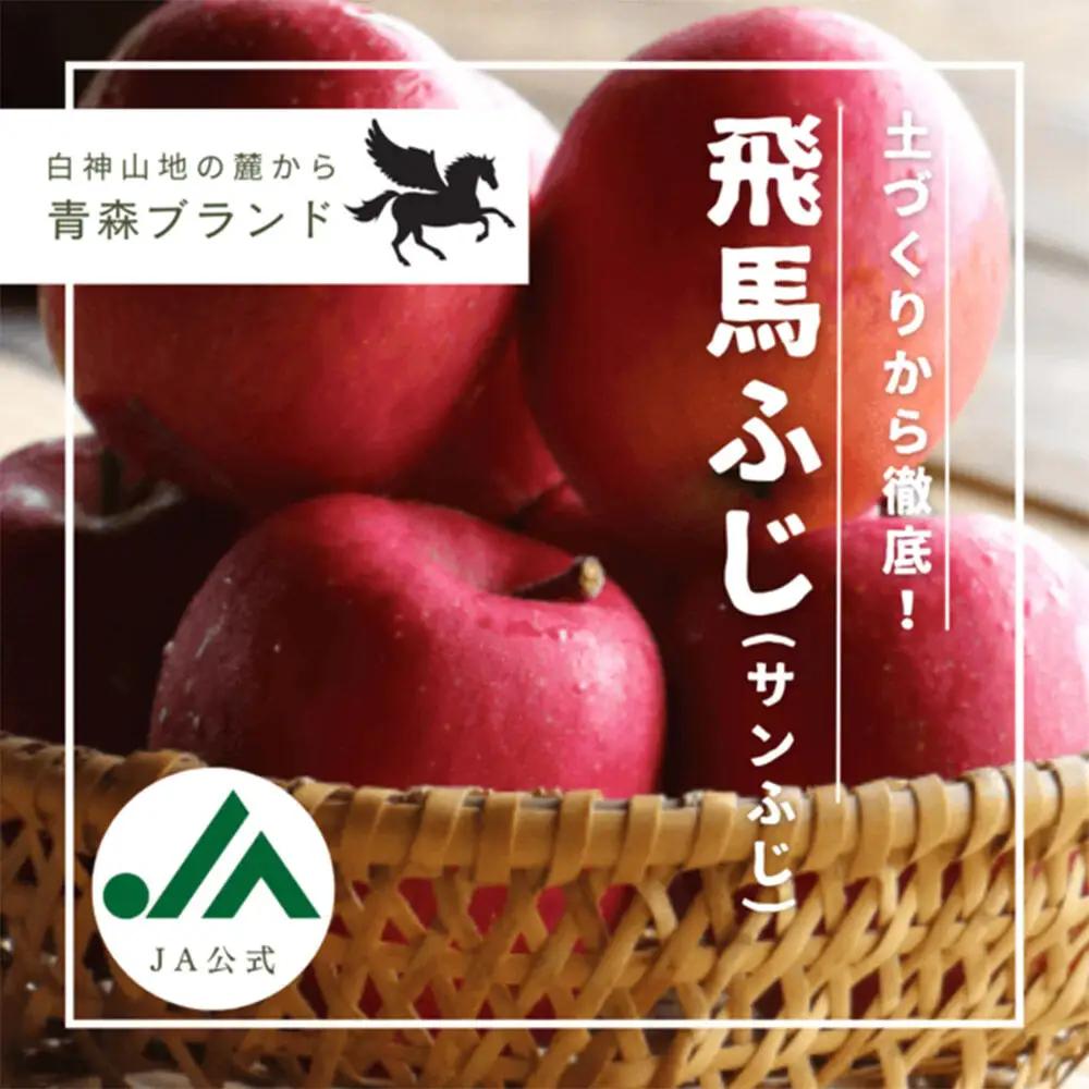 りんご 糖度14度以上 飛馬ふじ（サンふじ）約 2.5kg【12月～発送】りんご