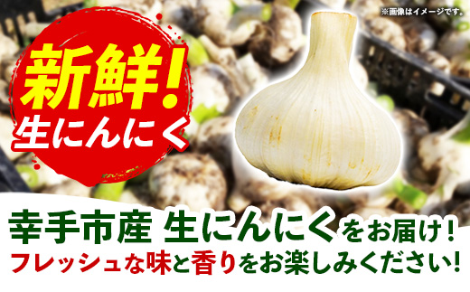 【きあり農園】2026年度 幸手市産 にんにく 1kg - 採れたて ニンニク ガーリック 産地直送 野菜 ベジタブル 美味しい おいしい 根菜 スタミナ 大蒜 生にんにく 国産 おすすめ 送料無料 