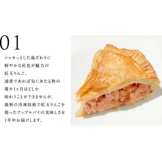 アップルパイ （ ホール 直径 20ｃｍ ） 自家製 ケーキ [BL001tu]