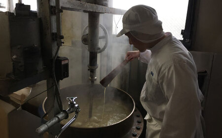 昔ようかん300g×3本詰 / ようかん 羊羹 和菓子 / 佐賀県 / 有限会社八頭司傳吉本舗[41AHAB002]