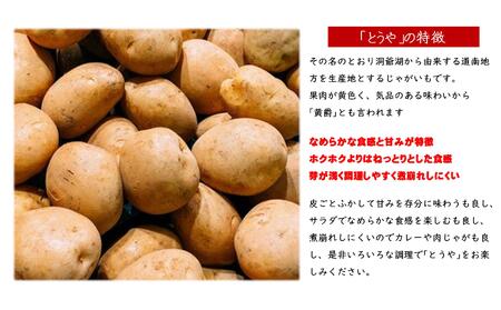 ＜2025年9月下旬よりお届け＞北海道壮瞥町産じゃがいも（とうや）Lサイズ10kg 【 ふるさと納税 人気 おすすめ ランキング 野菜 いも 芋 じゃがいも じゃが芋 ジャガイモ ポテト国産 おいしい