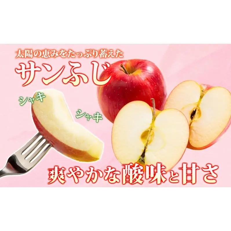 【11月発送】 贈答用 サンふじ 約3kg りんご 林檎 リンゴ 果物 フルーツ くだもの 旬 青森県産 お取り寄せ 贈り物 プレゼント 人気 東北 名産 常温 産地直送 送料無料 青森県 西目屋村