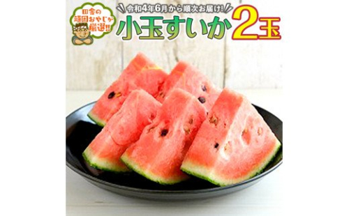 小玉すいか2玉【令和4年6月から順次お届け】田舎の頑固おやじが厳選！ [BI102-NT]