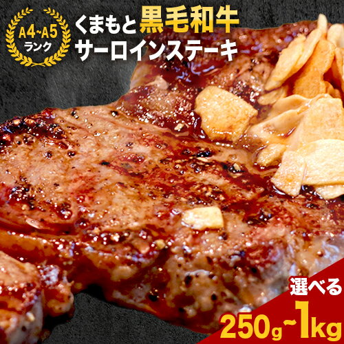 【ふるさと納税】 【A4〜A5】くまもと黒毛和牛 サーロインステーキ 選べる 250g 500g 1kg 《30日以内に出荷予定(土日祝除く)》 牛肉 くまもと黒毛和牛 黒毛和牛 冷凍庫 サーロイン ステーキ Esprit