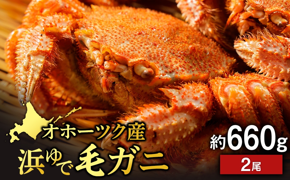 
                  浜頓別産 ボイル毛蟹　約660g　2尾
                