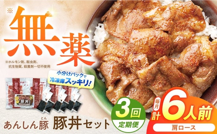 
            【3回定期便】豚丼 セット 計6人前（肩ロース120g × 2人前）× 3セット / 藤井ファーム 豚肉 豚丼 ぶたどん 豚どん 冷凍 国産 お惣菜 惣菜 タレ付き 豚カタロース 豚肩ロース 無薬 薬不使用 あんしん豚 安心豚 丼 丼もの レトルト食品 冷凍 人気 オススメ おすすめ セット タレ たれ たれ付き おかず 簡単調理 お手軽 時短 お歳暮 2万9千円 29000円 [AWAF013]
          